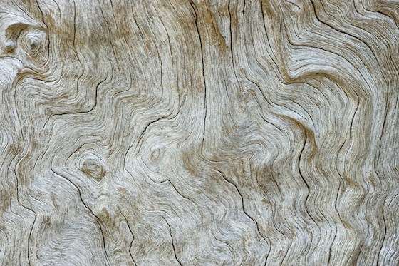 Hout